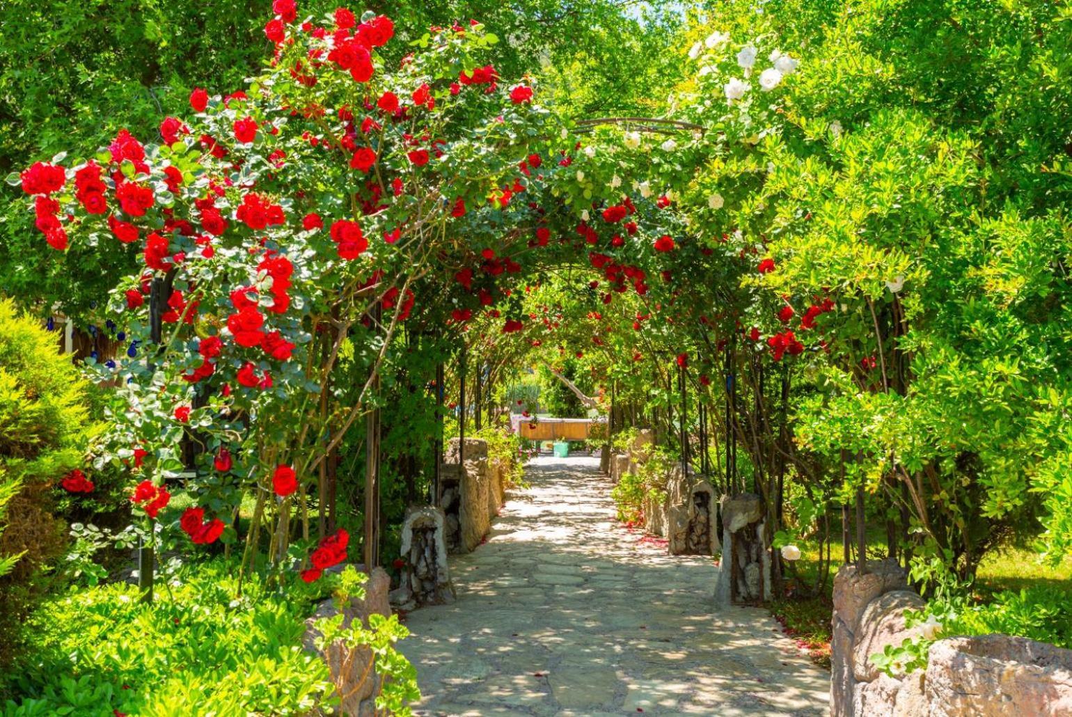 מוגלה Villa Emel Paradise מראה חיצוני תמונה